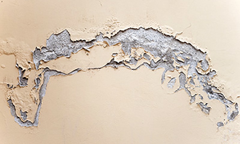 Wall Seepage and Leakage Service in Hyderabad